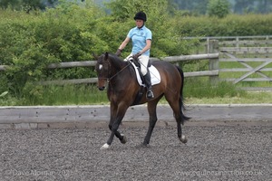 ISIS Dressage Challenge 2008